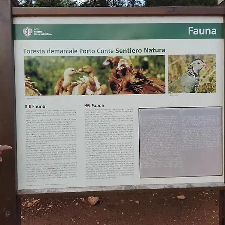 Casa Corallina Lägenhet