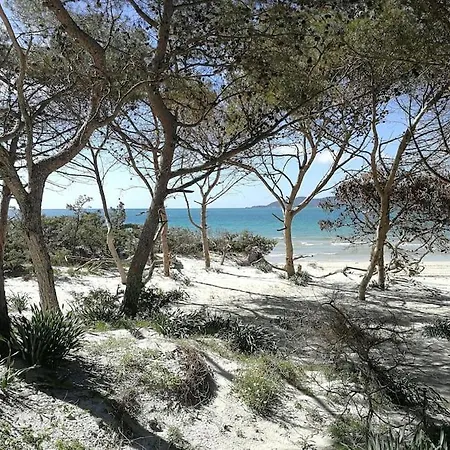 Casa Corallina Lägenhet