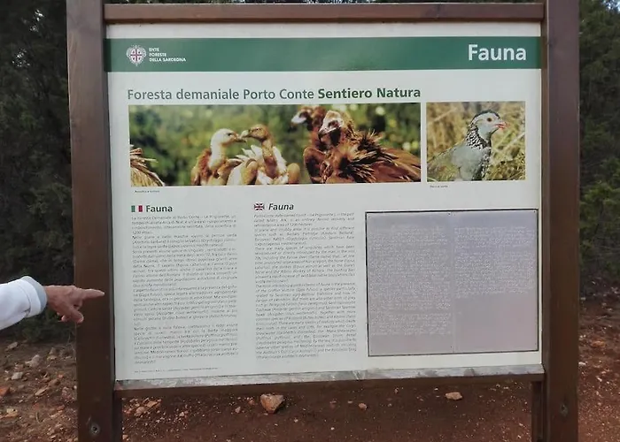 Casa Corallina Апартаменты